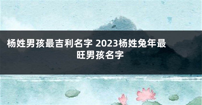 杨姓男孩最吉利名字 2023杨姓兔年最旺男孩名字