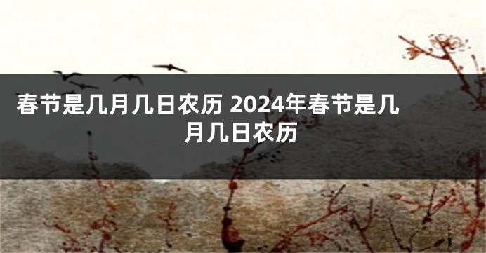春节是几月几日农历 2024年春节是几月几日农历