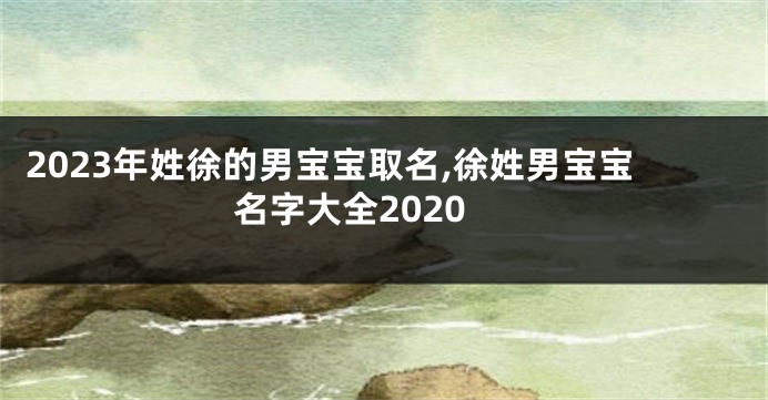 2023年姓徐的男宝宝取名,徐姓男宝宝名字大全2020