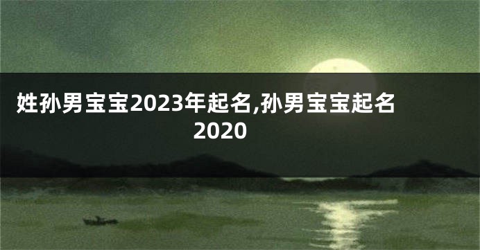 姓孙男宝宝2023年起名,孙男宝宝起名2020
