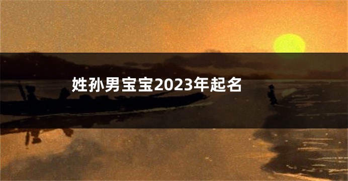 姓孙男宝宝2023年起名