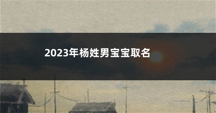 2023年杨姓男宝宝取名