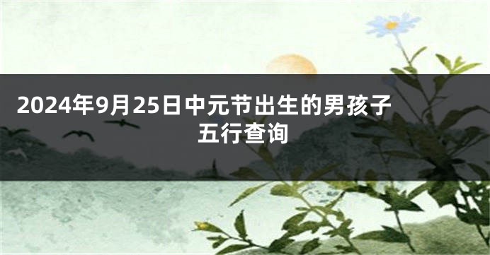 2024年9月25日中元节出生的男孩子五行查询
