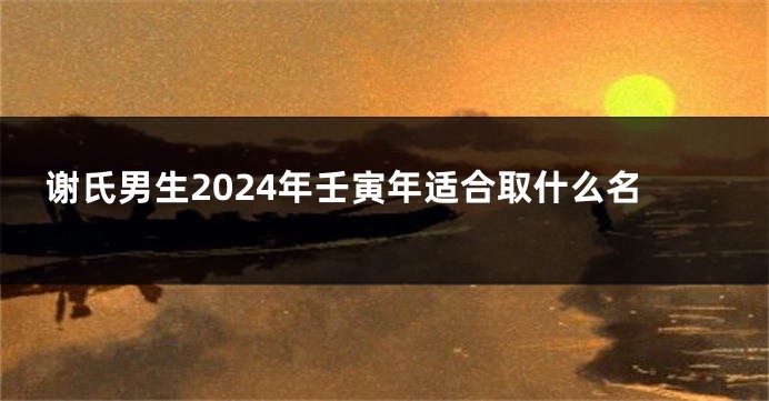 谢氏男生2024年壬寅年适合取什么名