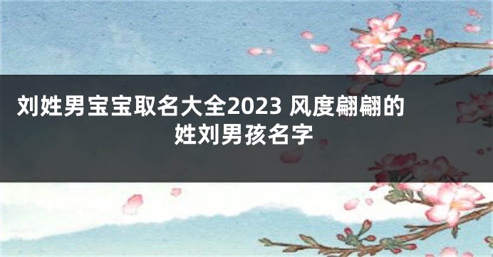 刘姓男宝宝取名大全2023 风度翩翩的姓刘男孩名字