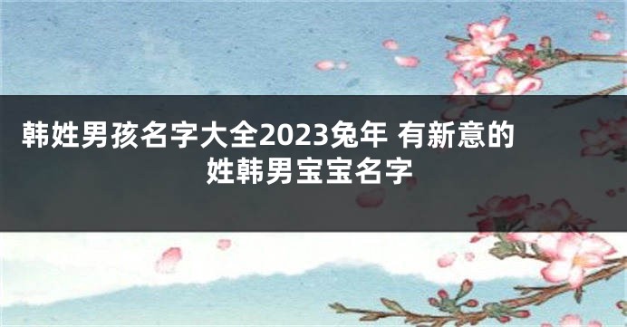 韩姓男孩名字大全2023兔年 有新意的姓韩男宝宝名字