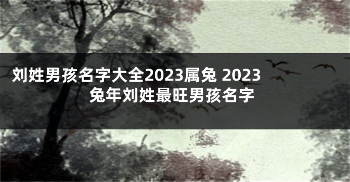 刘姓男孩名字大全2023属兔 2023兔年刘姓最旺男孩名字