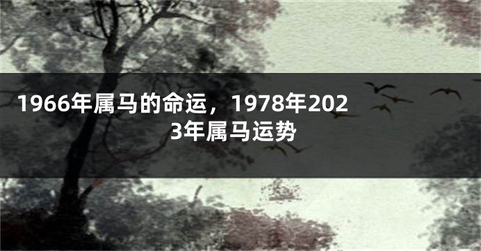 1966年属马的命运，1978年2023年属马运势