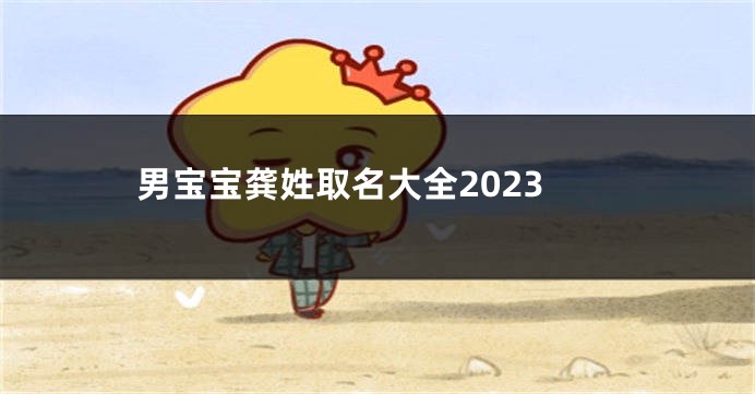 男宝宝龚姓取名大全2023