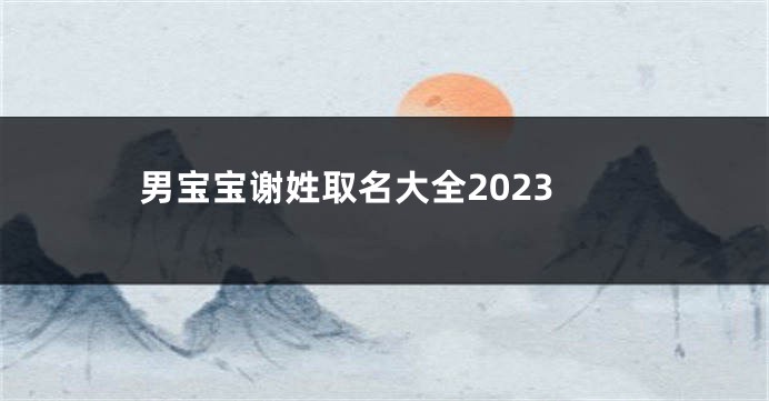 男宝宝谢姓取名大全2023