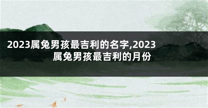 2023属兔男孩最吉利的名字,2023属兔男孩最吉利的月份