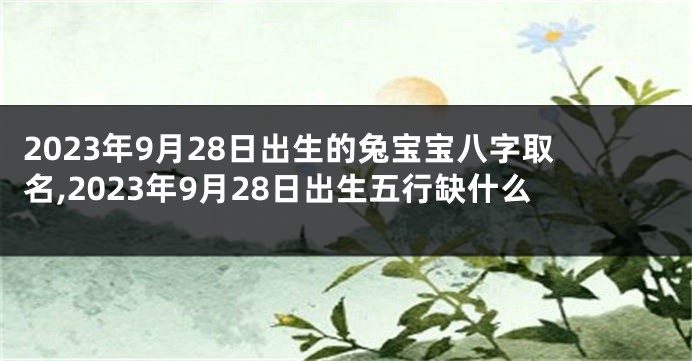 2023年9月28日出生的兔宝宝八字取名,2023年9月28日出生五行缺什么