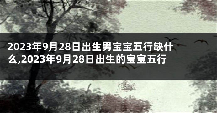 2023年9月28日出生男宝宝五行缺什么,2023年9月28日出生的宝宝五行