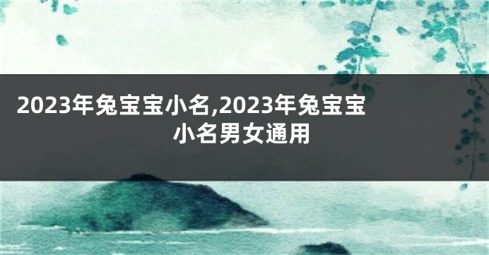 2023年兔宝宝小名,2023年兔宝宝小名男女通用