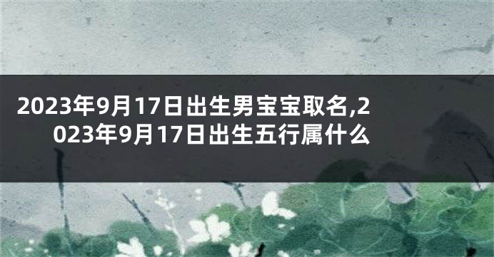 2023年9月17日出生男宝宝取名,2023年9月17日出生五行属什么