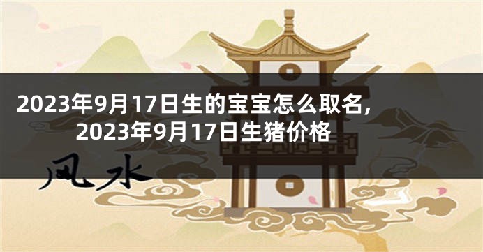 2023年9月17日生的宝宝怎么取名,2023年9月17日生猪价格