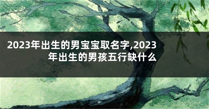 2023年出生的男宝宝取名字,2023年出生的男孩五行缺什么