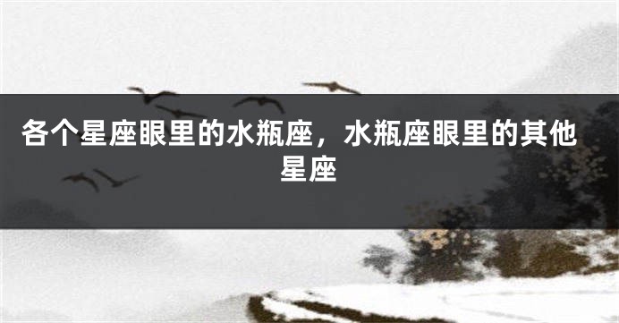 各个星座眼里的水瓶座，水瓶座眼里的其他星座