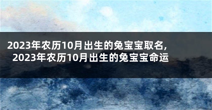 2023年农历10月出生的兔宝宝取名,2023年农历10月出生的兔宝宝命运