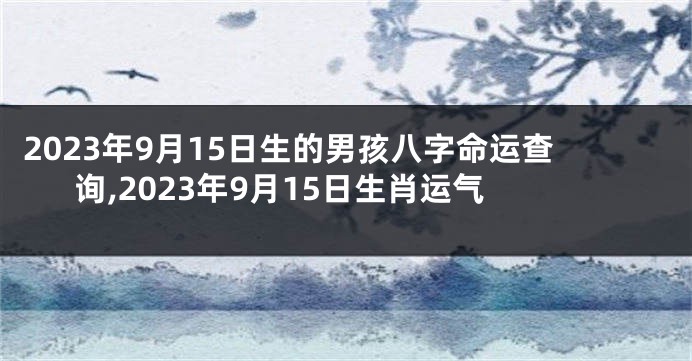 2023年9月15日生的男孩八字命运查询,2023年9月15日生肖运气