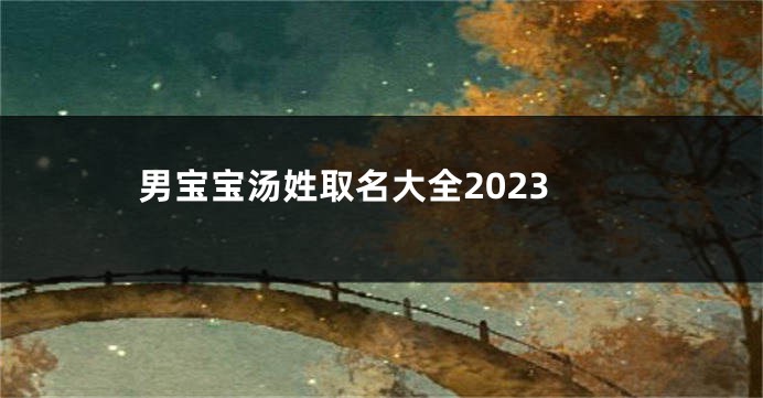 男宝宝汤姓取名大全2023