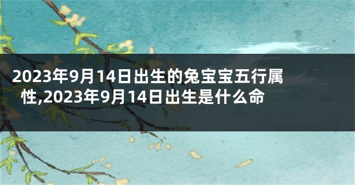 2023年9月14日出生的兔宝宝五行属性,2023年9月14日出生是什么命