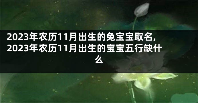 2023年农历11月出生的兔宝宝取名,2023年农历11月出生的宝宝五行缺什么