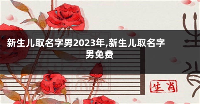 新生儿取名字男2023年,新生儿取名字男免费