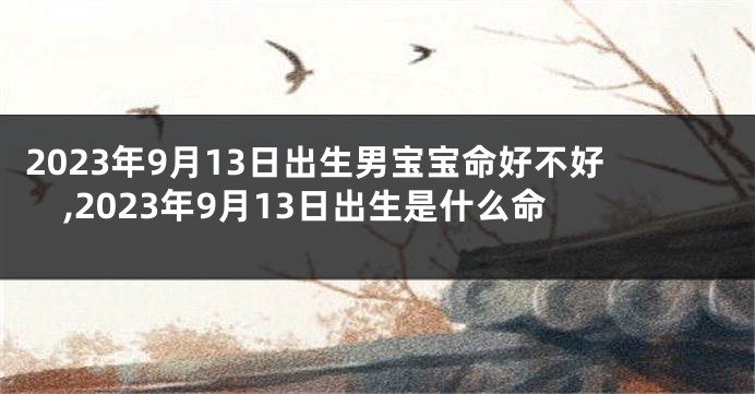 2023年9月13日出生男宝宝命好不好,2023年9月13日出生是什么命