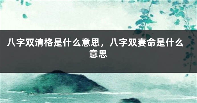 八字双清格是什么意思，八字双妻命是什么意思