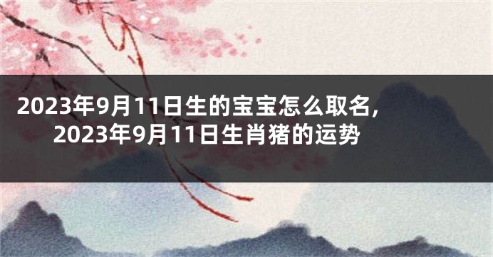 2023年9月11日生的宝宝怎么取名,2023年9月11日生肖猪的运势