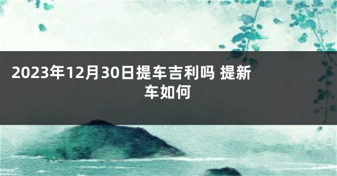 2023年12月30日提车吉利吗 提新车如何