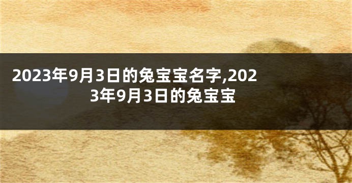 2023年9月3日的兔宝宝名字,2023年9月3日的兔宝宝