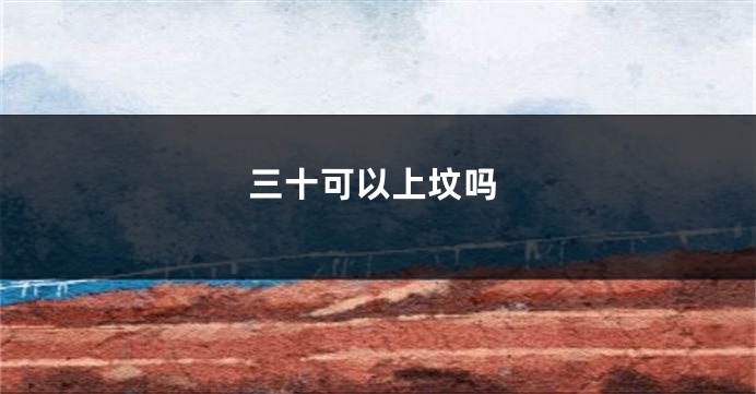 三十可以上坟吗