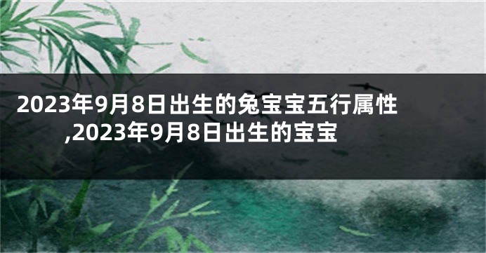 2023年9月8日出生的兔宝宝五行属性,2023年9月8日出生的宝宝