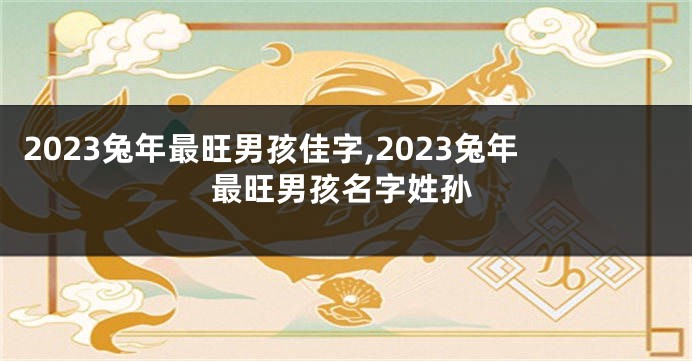 2023兔年最旺男孩佳字,2023兔年最旺男孩名字姓孙