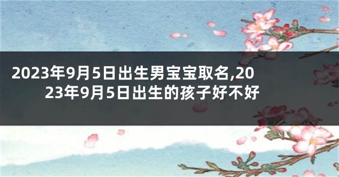 2023年9月5日出生男宝宝取名,2023年9月5日出生的孩子好不好