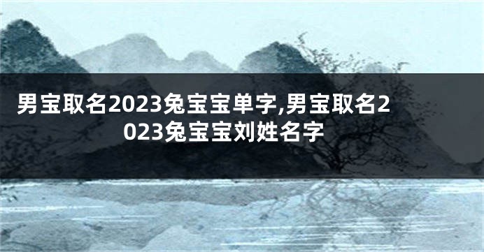 男宝取名2023兔宝宝单字,男宝取名2023兔宝宝刘姓名字