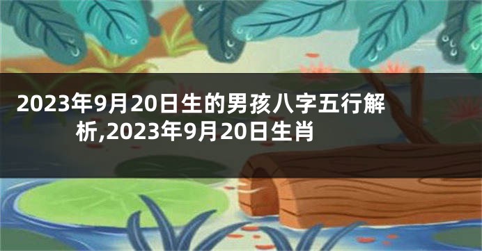 2023年9月20日生的男孩八字五行解析,2023年9月20日生肖