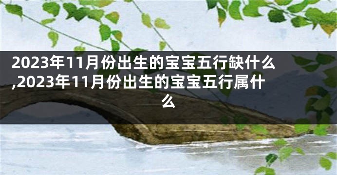 2023年11月份出生的宝宝五行缺什么,2023年11月份出生的宝宝五行属什么