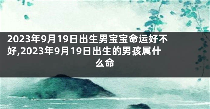 2023年9月19日出生男宝宝命运好不好,2023年9月19日出生的男孩属什么命