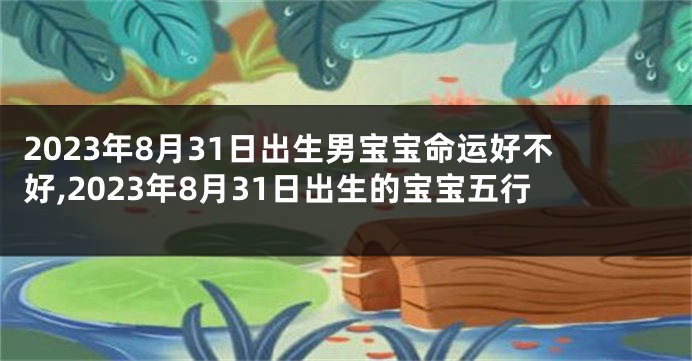 2023年8月31日出生男宝宝命运好不好,2023年8月31日出生的宝宝五行
