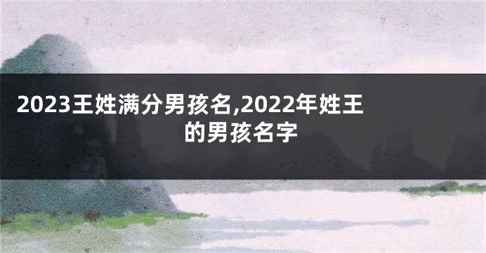 2023王姓满分男孩名,2022年姓王的男孩名字