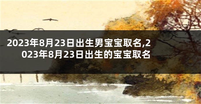 2023年8月23日出生男宝宝取名,2023年8月23日出生的宝宝取名