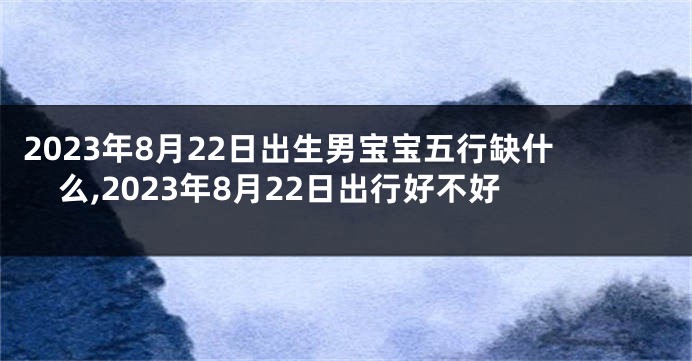 2023年8月22日出生男宝宝五行缺什么,2023年8月22日出行好不好