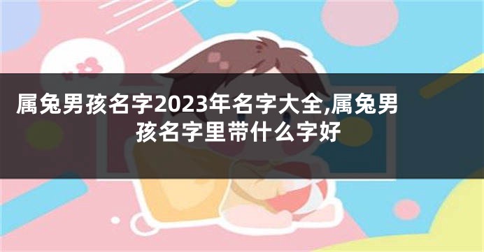 属兔男孩名字2023年名字大全,属兔男孩名字里带什么字好