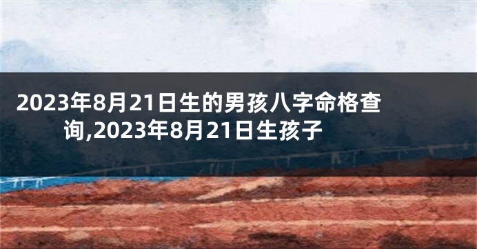 2023年8月21日生的男孩八字命格查询,2023年8月21日生孩子