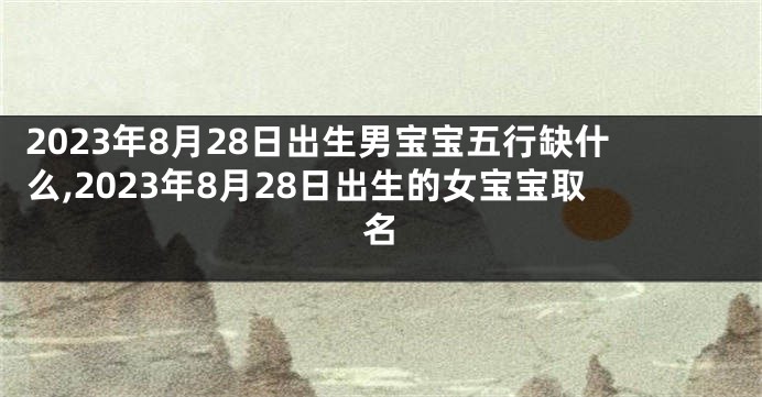 2023年8月28日出生男宝宝五行缺什么,2023年8月28日出生的女宝宝取名
