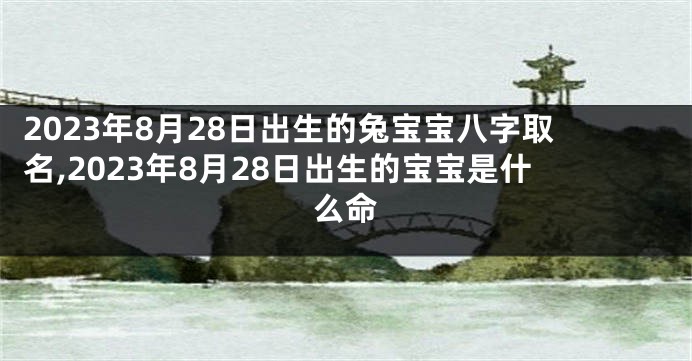 2023年8月28日出生的兔宝宝八字取名,2023年8月28日出生的宝宝是什么命