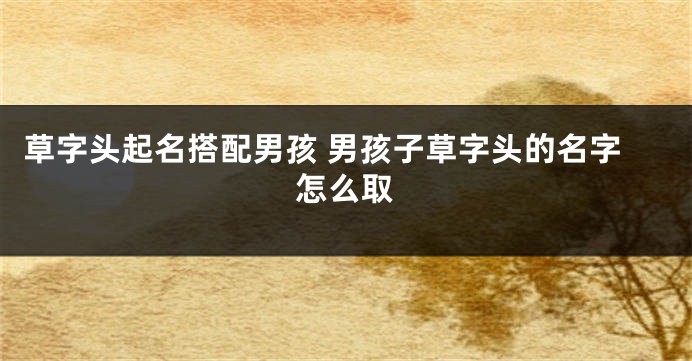 草字头起名搭配男孩 男孩子草字头的名字怎么取